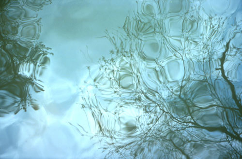 bparklakeautumn.jpg (42820 bytes)