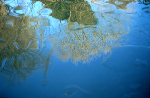 bparklakewinter.jpg (35441 bytes)