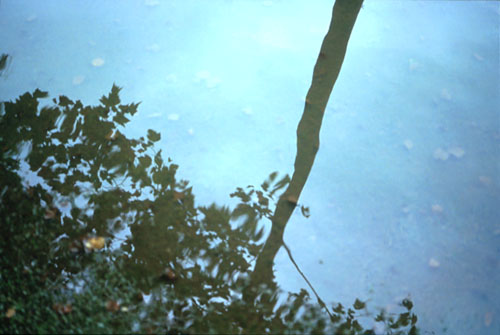 floodedpath1.jpg (36322 bytes)