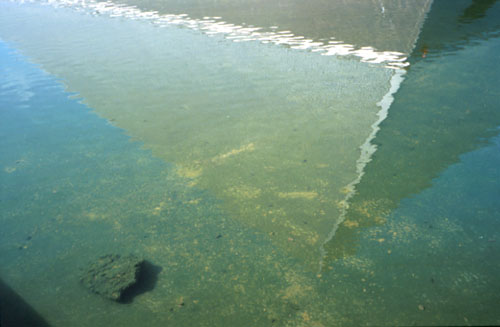 BytheoasisNo-11.jpg (27559 bytes)