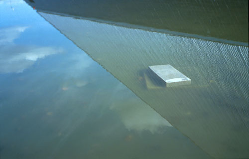 BytheoasisNo-13.jpg (18939 bytes)