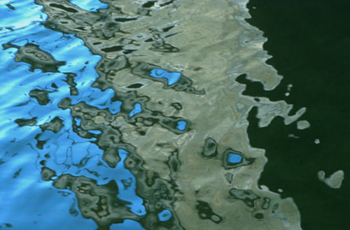 riverouse10.jpg (40657 bytes)