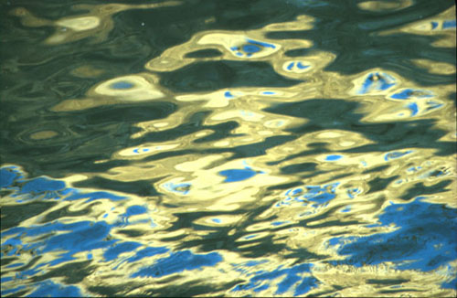 riverouse9e.JPG (55836 bytes)